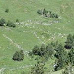 Murs de tanca de la vall del Riu