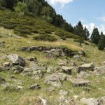 Carbonera de la Vall del Riu de les Deveses