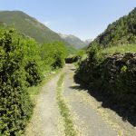 Camí de la Cortinada a Llorts