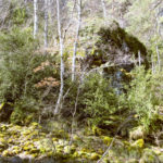 Cabana i corral del cortal de Sansa