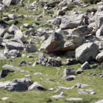 Cabana del Meligar d’Emportona