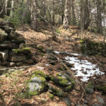 Mur de tanca de les Terres del Brassós de Cabanes