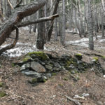 Murs de tanca de la Terra del Colomí