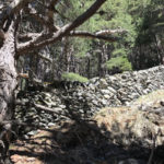 Cabana i mur de tanca de Terres del Soleador de Cabanes