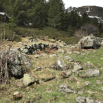 Murs de tanca del camí dels Brossos