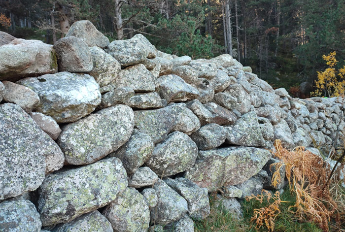 Setmana de la pedra seca 2022